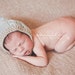 Cabled button strap Hood for NEWBORNS photography prop - Yellow and Blue