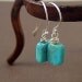 Turquoise Earrings - sterling silver
