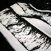Large White Dish Towel Hand Screen Printed with Birch Tree Design