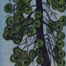 Woodblock Print Poderosa Pine Wall Art