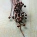 20 - 26 gauge Copper Antiqued Ball Tipped Head Pins -HPN00112