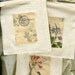Gift bags cotton muslin full color botanical collages set of three