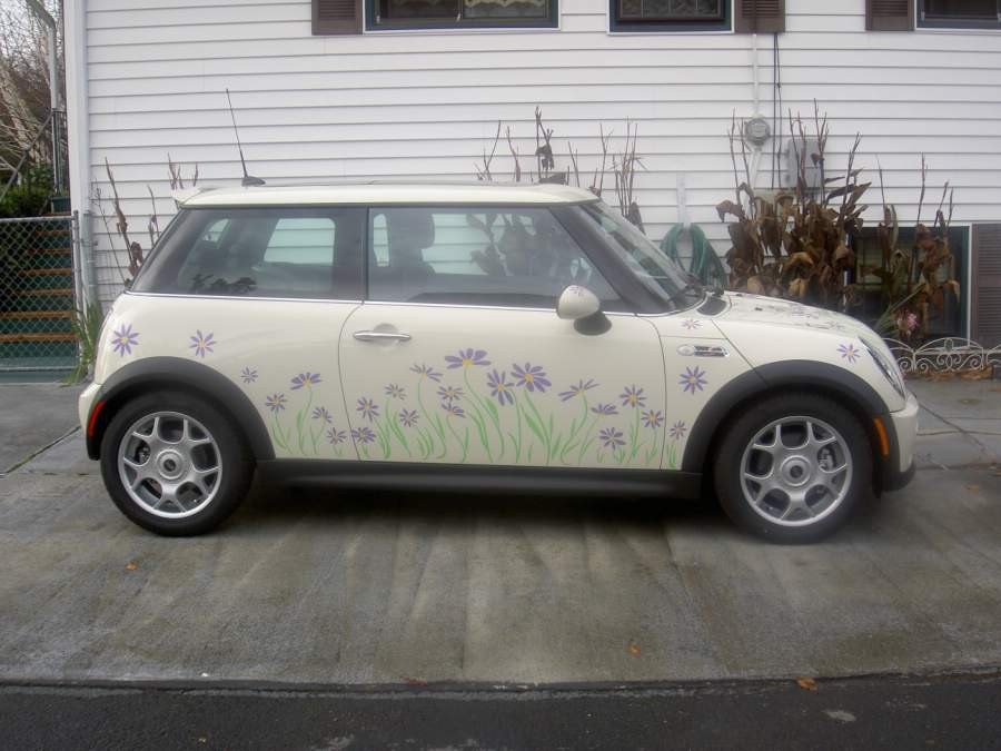 Daisy Flower Decal Stickers To Fit Mini Cooper 