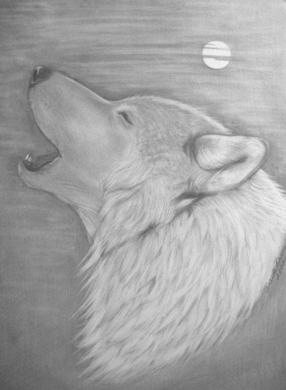SALE Wolf Moon Original Graphite Pencil Illustration by dixonart