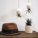 Hanging AirPlant Pod (tm) - Gorgeous Glossy White
