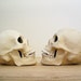 Realistic ceramic miner human skull