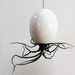Hanging AirPlant Pod (tm) - Gorgeous Glossy White