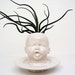 Modern White Baby Head Vase / Planter by Mudpuppy