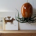LARGE Golden Delicious Hanging Air Plant Pod (tm) - Red / Gold