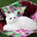 ON SALE--Cat Bed In Lime Green Camo and Maroon Paw Prints