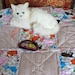 SALE--Cat Blanket, Catnip Blanket, Cat Nip Quilt, Cat Quilt, Tan Cat Blanket, Cat Bed, Fabric Cat Bed, Cat Napping Mat, Travel Pet Mat