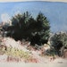 Scrub Hill, Original Landscape Watercolor Painting, Canada