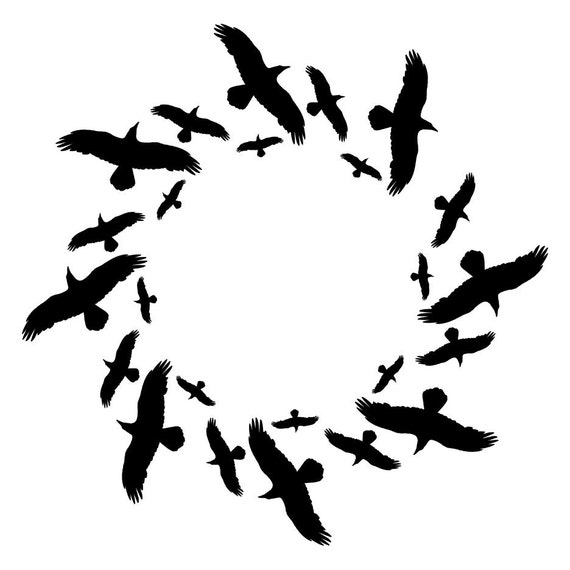 Circle of Crows Vinyl Wall Decal by WilsonGraphics on Etsy