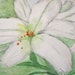 Original Watercolor Mini Painting Greeting Card 5 x 7 Easter Lily