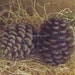 Large Pinecone Silicone Candle Mold Nature Harvest Beeswax Resin Wax Mold
