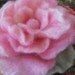 Soft Felted Pink English Tea Rose Brooch/Pin
