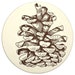Pine Cone Coasters (Letterpress printed)