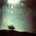 Fool on the Hill -- polaroid print
