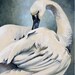 Well-Born To Wonderment And Finery - 11 x 14 ART PRINT