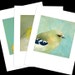 8 x 10 Art Print 3-Pack