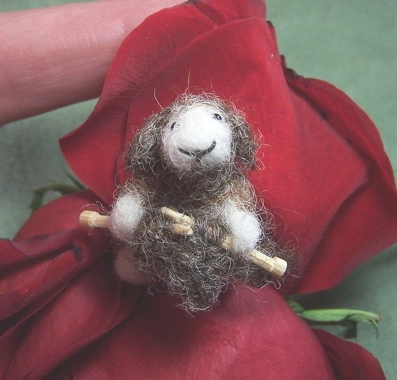 Little knitting Sheep