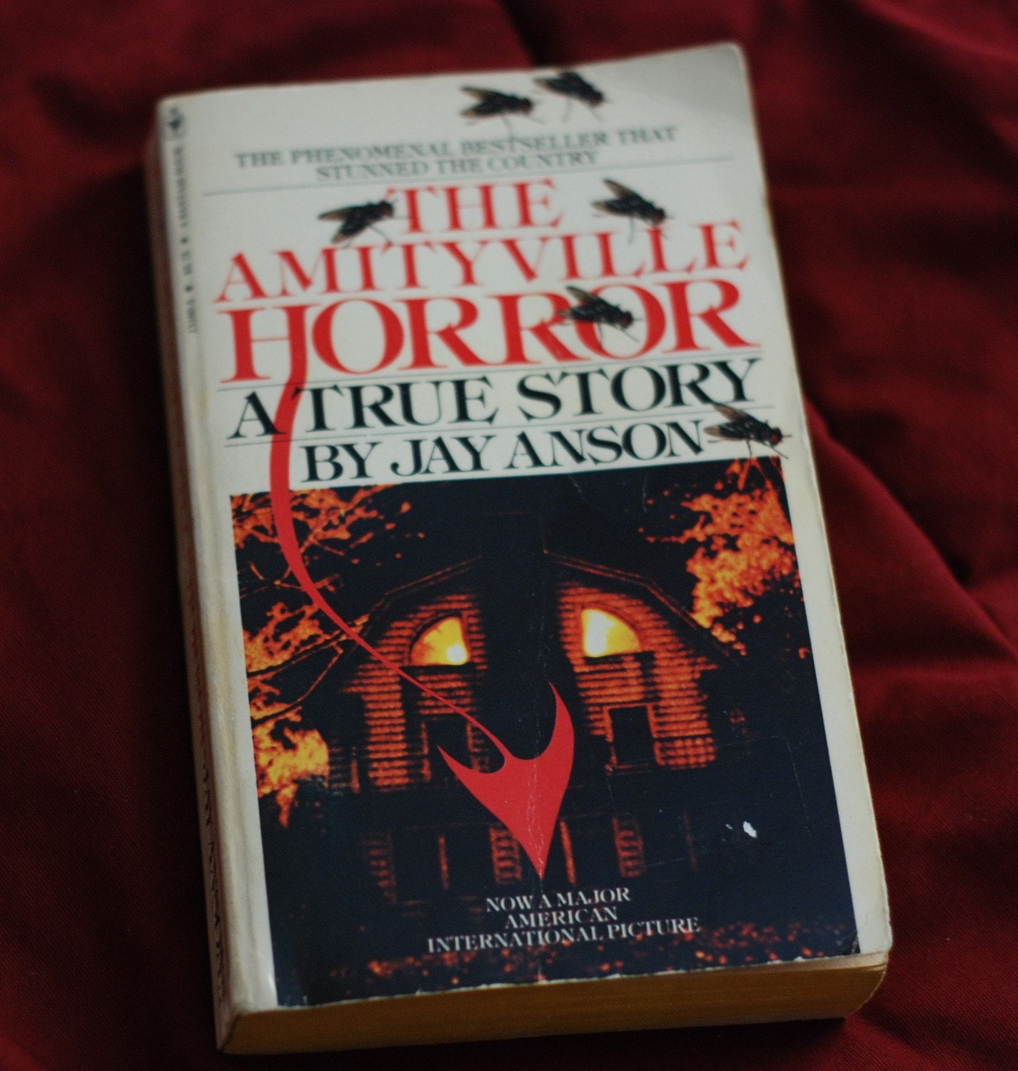 the amityville horror by jay anson