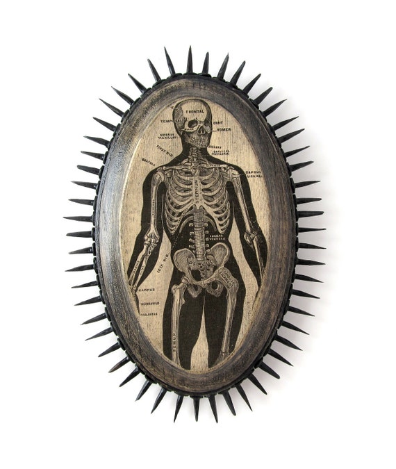 Halloween Prickly Plaque SKELETON 1876 Anatomy by sushipot