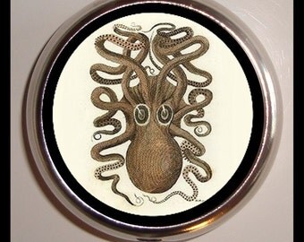 Octopus Pill Box Pill Case Victorian Oddity Oceanography Victoriana Sea Creature Medicine Vitamin Organizer birth control case