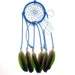 Cobalt Blue Dream Catcher, Amazon Parrot Feathers