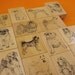 10 dog rubber stamps . CUSTOM VALUE set . your choice