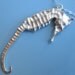 Pewter Seahorse