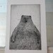 Bear - Limited Edition Etching