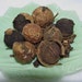 Natural Black Walnuts Plant Dye 1 ounce packet
