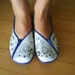 Illustrated shoes