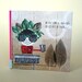 LITTLE BOOK