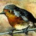 ROBIN quality art print ACEO