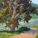 Canyon Walk - Original Impressionist Style Oil Painting of a Path a Eucalyptus Tree and the Outdoors