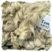 Raw White Alpaca Fleece - Tom s Seconds - 1 pound