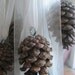 PINE CONE RIBBONS natural hanging Decoration Great for woodland weddings