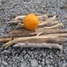 DRIFTWOOD TRIVET