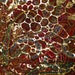 PAISLEY LYCRA Print Fabric 2 YARDs