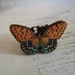 Flutterby Butterfly Ring