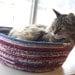 Cuddly cat snuggle bed - Star Spangled Kitty - Red White and Blue