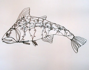 Salmon-wire drawing sculpture art