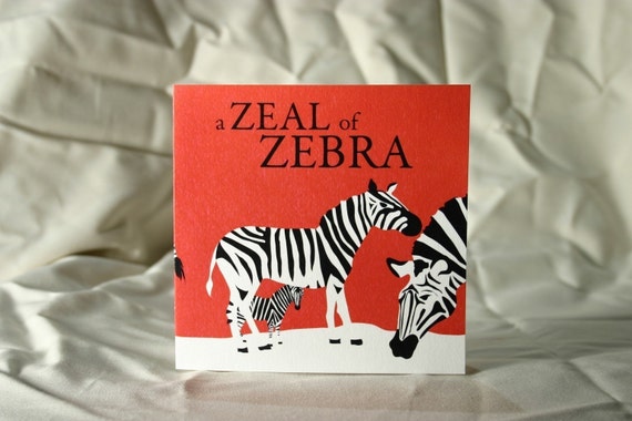 Fresh 15 Zebra Greeting Card
