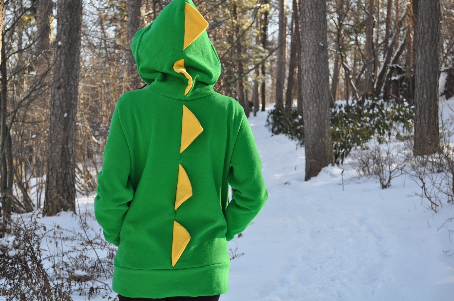 dinosaur hooded shirt