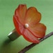 Lamore Ring