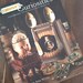 Altered Curiosities book by Jane Wynn / craft book / artist book / how to book