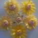 set of 6 daisy flower face magnets