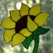Bright As A Sunflower